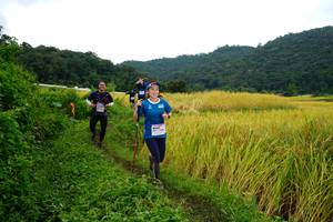 BIB: 
                            <button type="button" onclick="openModal(13371698)" class="btn btn-primary btn-sm float-right btn-popup" data-toggle="modal" data-target=".modal-high-quality">
                        <i class="fas fa-shopping-cart"></i> Add to Cart
                    </button>
                                            <button type="button" onclick="isThisMe(13371698, true)" class="btn btn-success btn-sm float-right btn-popup btn-isme hidden" data-toggle="tooltip" data-placement="bottom" title="นี่คือรูปของคุณใช่ไหม คลิกที่นี่เพื่อเอาเข้าอัลบั้ม">
                        <i class="fas fa-plus"></i> Add to album
                    </button>
                    <button type="button" onclick="isThisMe(13371698, false)" class="btn btn-warning btn-sm float-right btn-popup btn-isnotme hidden">
                        <i class="fas fa-ban"></i> Remove from album
                    </button>