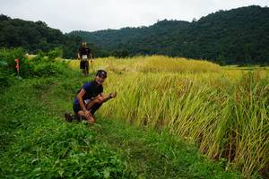 BIB: 
                            <button type="button" onclick="openModal(13371507)" class="btn btn-primary btn-sm float-right btn-popup" data-toggle="modal" data-target=".modal-high-quality">
                        <i class="fas fa-shopping-cart"></i> Add to Cart
                    </button>
                                            <button type="button" onclick="isThisMe(13371507, true)" class="btn btn-success btn-sm float-right btn-popup btn-isme hidden" data-toggle="tooltip" data-placement="bottom" title="นี่คือรูปของคุณใช่ไหม คลิกที่นี่เพื่อเอาเข้าอัลบั้ม">
                        <i class="fas fa-plus"></i> Add to album
                    </button>
                    <button type="button" onclick="isThisMe(13371507, false)" class="btn btn-warning btn-sm float-right btn-popup btn-isnotme hidden">
                        <i class="fas fa-ban"></i> Remove from album
                    </button>