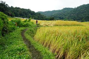 BIB: 
                            <button type="button" onclick="openModal(13371860)" class="btn btn-primary btn-sm float-right btn-popup" data-toggle="modal" data-target=".modal-high-quality">
                        <i class="fas fa-shopping-cart"></i> Add to Cart
                    </button>
                                            <button type="button" onclick="isThisMe(13371860, true)" class="btn btn-success btn-sm float-right btn-popup btn-isme hidden" data-toggle="tooltip" data-placement="bottom" title="นี่คือรูปของคุณใช่ไหม คลิกที่นี่เพื่อเอาเข้าอัลบั้ม">
                        <i class="fas fa-plus"></i> Add to album
                    </button>
                    <button type="button" onclick="isThisMe(13371860, false)" class="btn btn-warning btn-sm float-right btn-popup btn-isnotme hidden">
                        <i class="fas fa-ban"></i> Remove from album
                    </button>