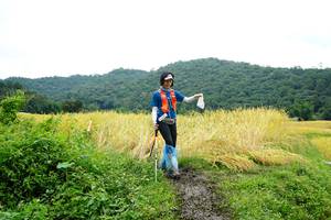 BIB: 
                            <button type="button" onclick="openModal(13371981)" class="btn btn-primary btn-sm float-right btn-popup" data-toggle="modal" data-target=".modal-high-quality">
                        <i class="fas fa-shopping-cart"></i> Add to Cart
                    </button>
                                            <button type="button" onclick="isThisMe(13371981, true)" class="btn btn-success btn-sm float-right btn-popup btn-isme hidden" data-toggle="tooltip" data-placement="bottom" title="นี่คือรูปของคุณใช่ไหม คลิกที่นี่เพื่อเอาเข้าอัลบั้ม">
                        <i class="fas fa-plus"></i> Add to album
                    </button>
                    <button type="button" onclick="isThisMe(13371981, false)" class="btn btn-warning btn-sm float-right btn-popup btn-isnotme hidden">
                        <i class="fas fa-ban"></i> Remove from album
                    </button>