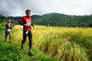 BIB: 8232
                            <button type="button" onclick="openModal(13371468)" class="btn btn-primary btn-sm float-right btn-popup" data-toggle="modal" data-target=".modal-high-quality">
                        <i class="fas fa-shopping-cart"></i> Add to Cart
                    </button>
                                            <button type="button" onclick="isThisMe(13371468, true)" class="btn btn-success btn-sm float-right btn-popup btn-isme hidden" data-toggle="tooltip" data-placement="bottom" title="นี่คือรูปของคุณใช่ไหม คลิกที่นี่เพื่อเอาเข้าอัลบั้ม">
                        <i class="fas fa-plus"></i> Add to album
                    </button>
                    <button type="button" onclick="isThisMe(13371468, false)" class="btn btn-warning btn-sm float-right btn-popup btn-isnotme hidden">
                        <i class="fas fa-ban"></i> Remove from album
                    </button>