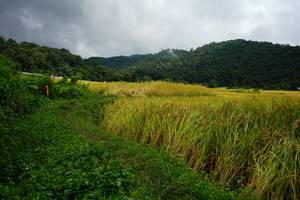 BIB: 
                            <button type="button" onclick="openModal(13371484)" class="btn btn-primary btn-sm float-right btn-popup" data-toggle="modal" data-target=".modal-high-quality">
                        <i class="fas fa-shopping-cart"></i> Add to Cart
                    </button>
                                            <button type="button" onclick="isThisMe(13371484, true)" class="btn btn-success btn-sm float-right btn-popup btn-isme hidden" data-toggle="tooltip" data-placement="bottom" title="นี่คือรูปของคุณใช่ไหม คลิกที่นี่เพื่อเอาเข้าอัลบั้ม">
                        <i class="fas fa-plus"></i> Add to album
                    </button>
                    <button type="button" onclick="isThisMe(13371484, false)" class="btn btn-warning btn-sm float-right btn-popup btn-isnotme hidden">
                        <i class="fas fa-ban"></i> Remove from album
                    </button>