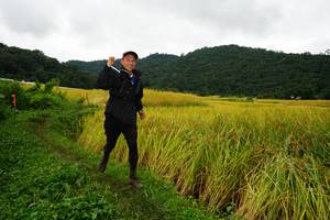 BIB: 
                            <button type="button" onclick="openModal(13371533)" class="btn btn-primary btn-sm float-right btn-popup" data-toggle="modal" data-target=".modal-high-quality">
                        <i class="fas fa-shopping-cart"></i> Add to Cart
                    </button>
                                            <button type="button" onclick="isThisMe(13371533, true)" class="btn btn-success btn-sm float-right btn-popup btn-isme hidden" data-toggle="tooltip" data-placement="bottom" title="นี่คือรูปของคุณใช่ไหม คลิกที่นี่เพื่อเอาเข้าอัลบั้ม">
                        <i class="fas fa-plus"></i> Add to album
                    </button>
                    <button type="button" onclick="isThisMe(13371533, false)" class="btn btn-warning btn-sm float-right btn-popup btn-isnotme hidden">
                        <i class="fas fa-ban"></i> Remove from album
                    </button>