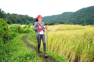 BIB: 
                            <button type="button" onclick="openModal(13372058)" class="btn btn-primary btn-sm float-right btn-popup" data-toggle="modal" data-target=".modal-high-quality">
                        <i class="fas fa-shopping-cart"></i> Add to Cart
                    </button>
                                            <button type="button" onclick="isThisMe(13372058, true)" class="btn btn-success btn-sm float-right btn-popup btn-isme hidden" data-toggle="tooltip" data-placement="bottom" title="นี่คือรูปของคุณใช่ไหม คลิกที่นี่เพื่อเอาเข้าอัลบั้ม">
                        <i class="fas fa-plus"></i> Add to album
                    </button>
                    <button type="button" onclick="isThisMe(13372058, false)" class="btn btn-warning btn-sm float-right btn-popup btn-isnotme hidden">
                        <i class="fas fa-ban"></i> Remove from album
                    </button>