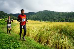 BIB: 8232
                            <button type="button" onclick="openModal(13371467)" class="btn btn-primary btn-sm float-right btn-popup" data-toggle="modal" data-target=".modal-high-quality">
                        <i class="fas fa-shopping-cart"></i> Add to Cart
                    </button>
                                            <button type="button" onclick="isThisMe(13371467, true)" class="btn btn-success btn-sm float-right btn-popup btn-isme hidden" data-toggle="tooltip" data-placement="bottom" title="นี่คือรูปของคุณใช่ไหม คลิกที่นี่เพื่อเอาเข้าอัลบั้ม">
                        <i class="fas fa-plus"></i> Add to album
                    </button>
                    <button type="button" onclick="isThisMe(13371467, false)" class="btn btn-warning btn-sm float-right btn-popup btn-isnotme hidden">
                        <i class="fas fa-ban"></i> Remove from album
                    </button>