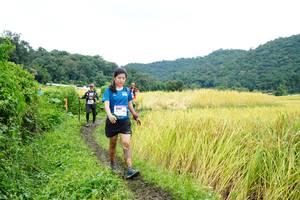 BIB: 
                            <button type="button" onclick="openModal(13372088)" class="btn btn-primary btn-sm float-right btn-popup" data-toggle="modal" data-target=".modal-high-quality">
                        <i class="fas fa-shopping-cart"></i> Add to Cart
                    </button>
                                            <button type="button" onclick="isThisMe(13372088, true)" class="btn btn-success btn-sm float-right btn-popup btn-isme hidden" data-toggle="tooltip" data-placement="bottom" title="นี่คือรูปของคุณใช่ไหม คลิกที่นี่เพื่อเอาเข้าอัลบั้ม">
                        <i class="fas fa-plus"></i> Add to album
                    </button>
                    <button type="button" onclick="isThisMe(13372088, false)" class="btn btn-warning btn-sm float-right btn-popup btn-isnotme hidden">
                        <i class="fas fa-ban"></i> Remove from album
                    </button>