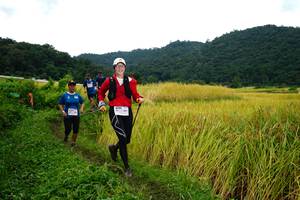 BIB: 617
                            <button type="button" onclick="openModal(13371618)" class="btn btn-primary btn-sm float-right btn-popup" data-toggle="modal" data-target=".modal-high-quality">
                        <i class="fas fa-shopping-cart"></i> Add to Cart
                    </button>
                                            <button type="button" onclick="isThisMe(13371618, true)" class="btn btn-success btn-sm float-right btn-popup btn-isme hidden" data-toggle="tooltip" data-placement="bottom" title="นี่คือรูปของคุณใช่ไหม คลิกที่นี่เพื่อเอาเข้าอัลบั้ม">
                        <i class="fas fa-plus"></i> Add to album
                    </button>
                    <button type="button" onclick="isThisMe(13371618, false)" class="btn btn-warning btn-sm float-right btn-popup btn-isnotme hidden">
                        <i class="fas fa-ban"></i> Remove from album
                    </button>