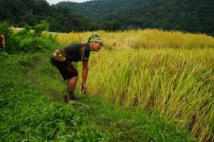 BIB: 
                            <button type="button" onclick="openModal(13371513)" class="btn btn-primary btn-sm float-right btn-popup" data-toggle="modal" data-target=".modal-high-quality">
                        <i class="fas fa-shopping-cart"></i> Add to Cart
                    </button>
                                            <button type="button" onclick="isThisMe(13371513, true)" class="btn btn-success btn-sm float-right btn-popup btn-isme hidden" data-toggle="tooltip" data-placement="bottom" title="นี่คือรูปของคุณใช่ไหม คลิกที่นี่เพื่อเอาเข้าอัลบั้ม">
                        <i class="fas fa-plus"></i> Add to album
                    </button>
                    <button type="button" onclick="isThisMe(13371513, false)" class="btn btn-warning btn-sm float-right btn-popup btn-isnotme hidden">
                        <i class="fas fa-ban"></i> Remove from album
                    </button>