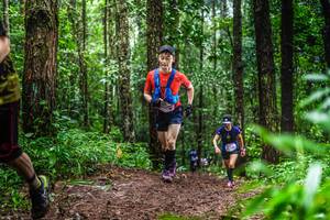 BIB: 
                            <button type="button" onclick="openModal(13479512)" class="btn btn-primary btn-sm float-right btn-popup" data-toggle="modal" data-target=".modal-high-quality">
                        <i class="fas fa-shopping-cart"></i> Add to Cart
                    </button>
                                            <button type="button" onclick="isThisMe(13479512, true)" class="btn btn-success btn-sm float-right btn-popup btn-isme hidden" data-toggle="tooltip" data-placement="bottom" title="นี่คือรูปของคุณใช่ไหม คลิกที่นี่เพื่อเอาเข้าอัลบั้ม">
                        <i class="fas fa-plus"></i> Add to album
                    </button>
                    <button type="button" onclick="isThisMe(13479512, false)" class="btn btn-warning btn-sm float-right btn-popup btn-isnotme hidden">
                        <i class="fas fa-ban"></i> Remove from album
                    </button>