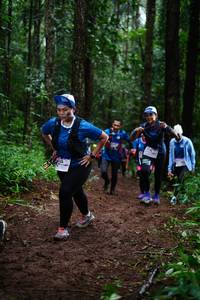 BIB: 
                            <button type="button" onclick="openModal(13451812)" class="btn btn-primary btn-sm float-right btn-popup" data-toggle="modal" data-target=".modal-high-quality">
                        <i class="fas fa-shopping-cart"></i> Add to Cart
                    </button>
                                            <button type="button" onclick="isThisMe(13451812, true)" class="btn btn-success btn-sm float-right btn-popup btn-isme hidden" data-toggle="tooltip" data-placement="bottom" title="นี่คือรูปของคุณใช่ไหม คลิกที่นี่เพื่อเอาเข้าอัลบั้ม">
                        <i class="fas fa-plus"></i> Add to album
                    </button>
                    <button type="button" onclick="isThisMe(13451812, false)" class="btn btn-warning btn-sm float-right btn-popup btn-isnotme hidden">
                        <i class="fas fa-ban"></i> Remove from album
                    </button>