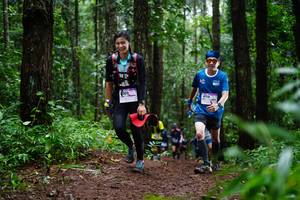 BIB: 309
                            <button type="button" onclick="openModal(13451655)" class="btn btn-primary btn-sm float-right btn-popup" data-toggle="modal" data-target=".modal-high-quality">
                        <i class="fas fa-shopping-cart"></i> Add to Cart
                    </button>
                                            <button type="button" onclick="isThisMe(13451655, true)" class="btn btn-success btn-sm float-right btn-popup btn-isme hidden" data-toggle="tooltip" data-placement="bottom" title="นี่คือรูปของคุณใช่ไหม คลิกที่นี่เพื่อเอาเข้าอัลบั้ม">
                        <i class="fas fa-plus"></i> Add to album
                    </button>
                    <button type="button" onclick="isThisMe(13451655, false)" class="btn btn-warning btn-sm float-right btn-popup btn-isnotme hidden">
                        <i class="fas fa-ban"></i> Remove from album
                    </button>