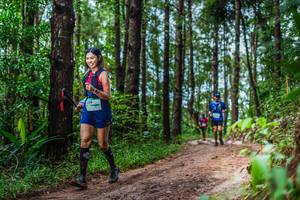 BIB: 
                            <button type="button" onclick="openModal(13475187)" class="btn btn-primary btn-sm float-right btn-popup" data-toggle="modal" data-target=".modal-high-quality">
                        <i class="fas fa-shopping-cart"></i> Add to Cart
                    </button>
                                            <button type="button" onclick="isThisMe(13475187, true)" class="btn btn-success btn-sm float-right btn-popup btn-isme hidden" data-toggle="tooltip" data-placement="bottom" title="นี่คือรูปของคุณใช่ไหม คลิกที่นี่เพื่อเอาเข้าอัลบั้ม">
                        <i class="fas fa-plus"></i> Add to album
                    </button>
                    <button type="button" onclick="isThisMe(13475187, false)" class="btn btn-warning btn-sm float-right btn-popup btn-isnotme hidden">
                        <i class="fas fa-ban"></i> Remove from album
                    </button>