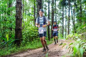 BIB: 8151
                            <button type="button" onclick="openModal(13487383)" class="btn btn-primary btn-sm float-right btn-popup" data-toggle="modal" data-target=".modal-high-quality">
                        <i class="fas fa-shopping-cart"></i> Add to Cart
                    </button>
                                            <button type="button" onclick="isThisMe(13487383, true)" class="btn btn-success btn-sm float-right btn-popup btn-isme hidden" data-toggle="tooltip" data-placement="bottom" title="นี่คือรูปของคุณใช่ไหม คลิกที่นี่เพื่อเอาเข้าอัลบั้ม">
                        <i class="fas fa-plus"></i> Add to album
                    </button>
                    <button type="button" onclick="isThisMe(13487383, false)" class="btn btn-warning btn-sm float-right btn-popup btn-isnotme hidden">
                        <i class="fas fa-ban"></i> Remove from album
                    </button>