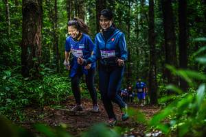 BIB: 8061
                            <button type="button" onclick="openModal(13480103)" class="btn btn-primary btn-sm float-right btn-popup" data-toggle="modal" data-target=".modal-high-quality">
                        <i class="fas fa-shopping-cart"></i> Add to Cart
                    </button>
                                            <button type="button" onclick="isThisMe(13480103, true)" class="btn btn-success btn-sm float-right btn-popup btn-isme hidden" data-toggle="tooltip" data-placement="bottom" title="นี่คือรูปของคุณใช่ไหม คลิกที่นี่เพื่อเอาเข้าอัลบั้ม">
                        <i class="fas fa-plus"></i> Add to album
                    </button>
                    <button type="button" onclick="isThisMe(13480103, false)" class="btn btn-warning btn-sm float-right btn-popup btn-isnotme hidden">
                        <i class="fas fa-ban"></i> Remove from album
                    </button>