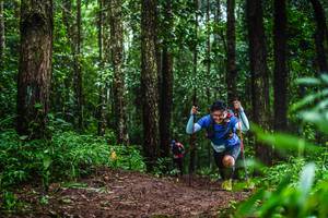 BIB: 
                            <button type="button" onclick="openModal(13479324)" class="btn btn-primary btn-sm float-right btn-popup" data-toggle="modal" data-target=".modal-high-quality">
                        <i class="fas fa-shopping-cart"></i> Add to Cart
                    </button>
                                            <button type="button" onclick="isThisMe(13479324, true)" class="btn btn-success btn-sm float-right btn-popup btn-isme hidden" data-toggle="tooltip" data-placement="bottom" title="นี่คือรูปของคุณใช่ไหม คลิกที่นี่เพื่อเอาเข้าอัลบั้ม">
                        <i class="fas fa-plus"></i> Add to album
                    </button>
                    <button type="button" onclick="isThisMe(13479324, false)" class="btn btn-warning btn-sm float-right btn-popup btn-isnotme hidden">
                        <i class="fas fa-ban"></i> Remove from album
                    </button>