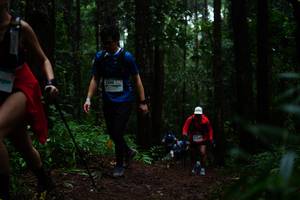 BIB: 1399
                            <button type="button" onclick="openModal(13401300)" class="btn btn-primary btn-sm float-right btn-popup" data-toggle="modal" data-target=".modal-high-quality">
                        <i class="fas fa-shopping-cart"></i> Add to Cart
                    </button>
                                            <button type="button" onclick="isThisMe(13401300, true)" class="btn btn-success btn-sm float-right btn-popup btn-isme hidden" data-toggle="tooltip" data-placement="bottom" title="นี่คือรูปของคุณใช่ไหม คลิกที่นี่เพื่อเอาเข้าอัลบั้ม">
                        <i class="fas fa-plus"></i> Add to album
                    </button>
                    <button type="button" onclick="isThisMe(13401300, false)" class="btn btn-warning btn-sm float-right btn-popup btn-isnotme hidden">
                        <i class="fas fa-ban"></i> Remove from album
                    </button>