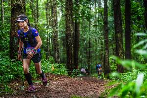 BIB: 8227, 
                            <button type="button" onclick="openModal(13479523)" class="btn btn-primary btn-sm float-right btn-popup" data-toggle="modal" data-target=".modal-high-quality">
                        <i class="fas fa-shopping-cart"></i> Add to Cart
                    </button>
                                            <button type="button" onclick="isThisMe(13479523, true)" class="btn btn-success btn-sm float-right btn-popup btn-isme hidden" data-toggle="tooltip" data-placement="bottom" title="นี่คือรูปของคุณใช่ไหม คลิกที่นี่เพื่อเอาเข้าอัลบั้ม">
                        <i class="fas fa-plus"></i> Add to album
                    </button>
                    <button type="button" onclick="isThisMe(13479523, false)" class="btn btn-warning btn-sm float-right btn-popup btn-isnotme hidden">
                        <i class="fas fa-ban"></i> Remove from album
                    </button>