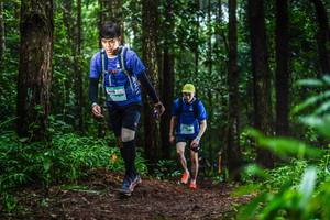 BIB: 1418
                            <button type="button" onclick="openModal(13479370)" class="btn btn-primary btn-sm float-right btn-popup" data-toggle="modal" data-target=".modal-high-quality">
                        <i class="fas fa-shopping-cart"></i> Add to Cart
                    </button>
                                            <button type="button" onclick="isThisMe(13479370, true)" class="btn btn-success btn-sm float-right btn-popup btn-isme hidden" data-toggle="tooltip" data-placement="bottom" title="นี่คือรูปของคุณใช่ไหม คลิกที่นี่เพื่อเอาเข้าอัลบั้ม">
                        <i class="fas fa-plus"></i> Add to album
                    </button>
                    <button type="button" onclick="isThisMe(13479370, false)" class="btn btn-warning btn-sm float-right btn-popup btn-isnotme hidden">
                        <i class="fas fa-ban"></i> Remove from album
                    </button>