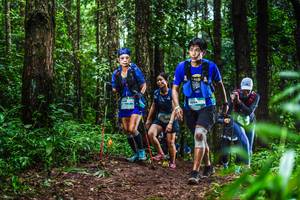 BIB: 1004
                            <button type="button" onclick="openModal(13479117)" class="btn btn-primary btn-sm float-right btn-popup" data-toggle="modal" data-target=".modal-high-quality">
                        <i class="fas fa-shopping-cart"></i> Add to Cart
                    </button>
                                            <button type="button" onclick="isThisMe(13479117, true)" class="btn btn-success btn-sm float-right btn-popup btn-isme hidden" data-toggle="tooltip" data-placement="bottom" title="นี่คือรูปของคุณใช่ไหม คลิกที่นี่เพื่อเอาเข้าอัลบั้ม">
                        <i class="fas fa-plus"></i> Add to album
                    </button>
                    <button type="button" onclick="isThisMe(13479117, false)" class="btn btn-warning btn-sm float-right btn-popup btn-isnotme hidden">
                        <i class="fas fa-ban"></i> Remove from album
                    </button>