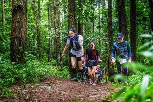 BIB: 
                            <button type="button" onclick="openModal(13479667)" class="btn btn-primary btn-sm float-right btn-popup" data-toggle="modal" data-target=".modal-high-quality">
                        <i class="fas fa-shopping-cart"></i> Add to Cart
                    </button>
                                            <button type="button" onclick="isThisMe(13479667, true)" class="btn btn-success btn-sm float-right btn-popup btn-isme hidden" data-toggle="tooltip" data-placement="bottom" title="นี่คือรูปของคุณใช่ไหม คลิกที่นี่เพื่อเอาเข้าอัลบั้ม">
                        <i class="fas fa-plus"></i> Add to album
                    </button>
                    <button type="button" onclick="isThisMe(13479667, false)" class="btn btn-warning btn-sm float-right btn-popup btn-isnotme hidden">
                        <i class="fas fa-ban"></i> Remove from album
                    </button>