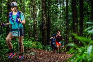 BIB: 1037
                            <button type="button" onclick="openModal(13478812)" class="btn btn-primary btn-sm float-right btn-popup" data-toggle="modal" data-target=".modal-high-quality">
                        <i class="fas fa-shopping-cart"></i> Add to Cart
                    </button>
                                            <button type="button" onclick="isThisMe(13478812, true)" class="btn btn-success btn-sm float-right btn-popup btn-isme hidden" data-toggle="tooltip" data-placement="bottom" title="นี่คือรูปของคุณใช่ไหม คลิกที่นี่เพื่อเอาเข้าอัลบั้ม">
                        <i class="fas fa-plus"></i> Add to album
                    </button>
                    <button type="button" onclick="isThisMe(13478812, false)" class="btn btn-warning btn-sm float-right btn-popup btn-isnotme hidden">
                        <i class="fas fa-ban"></i> Remove from album
                    </button>