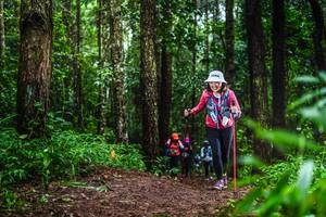 BIB: 
                            <button type="button" onclick="openModal(13479262)" class="btn btn-primary btn-sm float-right btn-popup" data-toggle="modal" data-target=".modal-high-quality">
                        <i class="fas fa-shopping-cart"></i> Add to Cart
                    </button>
                                            <button type="button" onclick="isThisMe(13479262, true)" class="btn btn-success btn-sm float-right btn-popup btn-isme hidden" data-toggle="tooltip" data-placement="bottom" title="นี่คือรูปของคุณใช่ไหม คลิกที่นี่เพื่อเอาเข้าอัลบั้ม">
                        <i class="fas fa-plus"></i> Add to album
                    </button>
                    <button type="button" onclick="isThisMe(13479262, false)" class="btn btn-warning btn-sm float-right btn-popup btn-isnotme hidden">
                        <i class="fas fa-ban"></i> Remove from album
                    </button>