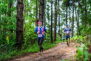 BIB: 
                            <button type="button" onclick="openModal(13474450)" class="btn btn-primary btn-sm float-right btn-popup" data-toggle="modal" data-target=".modal-high-quality">
                        <i class="fas fa-shopping-cart"></i> Add to Cart
                    </button>
                                            <button type="button" onclick="isThisMe(13474450, true)" class="btn btn-success btn-sm float-right btn-popup btn-isme hidden" data-toggle="tooltip" data-placement="bottom" title="นี่คือรูปของคุณใช่ไหม คลิกที่นี่เพื่อเอาเข้าอัลบั้ม">
                        <i class="fas fa-plus"></i> Add to album
                    </button>
                    <button type="button" onclick="isThisMe(13474450, false)" class="btn btn-warning btn-sm float-right btn-popup btn-isnotme hidden">
                        <i class="fas fa-ban"></i> Remove from album
                    </button>