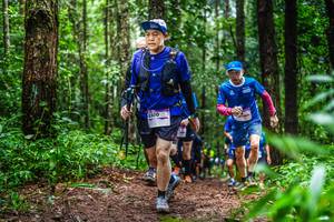 BIB: 8380
                            <button type="button" onclick="openModal(13479691)" class="btn btn-primary btn-sm float-right btn-popup" data-toggle="modal" data-target=".modal-high-quality">
                        <i class="fas fa-shopping-cart"></i> Add to Cart
                    </button>
                                            <button type="button" onclick="isThisMe(13479691, true)" class="btn btn-success btn-sm float-right btn-popup btn-isme hidden" data-toggle="tooltip" data-placement="bottom" title="นี่คือรูปของคุณใช่ไหม คลิกที่นี่เพื่อเอาเข้าอัลบั้ม">
                        <i class="fas fa-plus"></i> Add to album
                    </button>
                    <button type="button" onclick="isThisMe(13479691, false)" class="btn btn-warning btn-sm float-right btn-popup btn-isnotme hidden">
                        <i class="fas fa-ban"></i> Remove from album
                    </button>