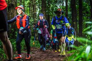 BIB: 1335, 190
                            <button type="button" onclick="openModal(13479159)" class="btn btn-primary btn-sm float-right btn-popup" data-toggle="modal" data-target=".modal-high-quality">
                        <i class="fas fa-shopping-cart"></i> Add to Cart
                    </button>
                                            <button type="button" onclick="isThisMe(13479159, true)" class="btn btn-success btn-sm float-right btn-popup btn-isme hidden" data-toggle="tooltip" data-placement="bottom" title="นี่คือรูปของคุณใช่ไหม คลิกที่นี่เพื่อเอาเข้าอัลบั้ม">
                        <i class="fas fa-plus"></i> Add to album
                    </button>
                    <button type="button" onclick="isThisMe(13479159, false)" class="btn btn-warning btn-sm float-right btn-popup btn-isnotme hidden">
                        <i class="fas fa-ban"></i> Remove from album
                    </button>