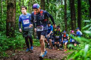 BIB: 8018, 8301
                            <button type="button" onclick="openModal(13479755)" class="btn btn-primary btn-sm float-right btn-popup" data-toggle="modal" data-target=".modal-high-quality">
                        <i class="fas fa-shopping-cart"></i> Add to Cart
                    </button>
                                            <button type="button" onclick="isThisMe(13479755, true)" class="btn btn-success btn-sm float-right btn-popup btn-isme hidden" data-toggle="tooltip" data-placement="bottom" title="นี่คือรูปของคุณใช่ไหม คลิกที่นี่เพื่อเอาเข้าอัลบั้ม">
                        <i class="fas fa-plus"></i> Add to album
                    </button>
                    <button type="button" onclick="isThisMe(13479755, false)" class="btn btn-warning btn-sm float-right btn-popup btn-isnotme hidden">
                        <i class="fas fa-ban"></i> Remove from album
                    </button>