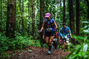 BIB: 3034
                            <button type="button" onclick="openModal(13478943)" class="btn btn-primary btn-sm float-right btn-popup" data-toggle="modal" data-target=".modal-high-quality">
                        <i class="fas fa-shopping-cart"></i> Add to Cart
                    </button>
                                            <button type="button" onclick="isThisMe(13478943, true)" class="btn btn-success btn-sm float-right btn-popup btn-isme hidden" data-toggle="tooltip" data-placement="bottom" title="นี่คือรูปของคุณใช่ไหม คลิกที่นี่เพื่อเอาเข้าอัลบั้ม">
                        <i class="fas fa-plus"></i> Add to album
                    </button>
                    <button type="button" onclick="isThisMe(13478943, false)" class="btn btn-warning btn-sm float-right btn-popup btn-isnotme hidden">
                        <i class="fas fa-ban"></i> Remove from album
                    </button>