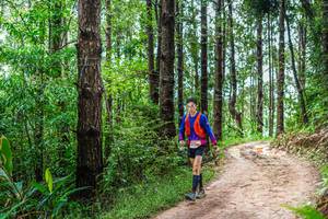 BIB: 
                            <button type="button" onclick="openModal(13487198)" class="btn btn-primary btn-sm float-right btn-popup" data-toggle="modal" data-target=".modal-high-quality">
                        <i class="fas fa-shopping-cart"></i> Add to Cart
                    </button>
                                            <button type="button" onclick="isThisMe(13487198, true)" class="btn btn-success btn-sm float-right btn-popup btn-isme hidden" data-toggle="tooltip" data-placement="bottom" title="นี่คือรูปของคุณใช่ไหม คลิกที่นี่เพื่อเอาเข้าอัลบั้ม">
                        <i class="fas fa-plus"></i> Add to album
                    </button>
                    <button type="button" onclick="isThisMe(13487198, false)" class="btn btn-warning btn-sm float-right btn-popup btn-isnotme hidden">
                        <i class="fas fa-ban"></i> Remove from album
                    </button>