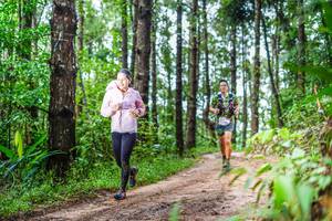 BIB: 
                            <button type="button" onclick="openModal(13487226)" class="btn btn-primary btn-sm float-right btn-popup" data-toggle="modal" data-target=".modal-high-quality">
                        <i class="fas fa-shopping-cart"></i> Add to Cart
                    </button>
                                            <button type="button" onclick="isThisMe(13487226, true)" class="btn btn-success btn-sm float-right btn-popup btn-isme hidden" data-toggle="tooltip" data-placement="bottom" title="นี่คือรูปของคุณใช่ไหม คลิกที่นี่เพื่อเอาเข้าอัลบั้ม">
                        <i class="fas fa-plus"></i> Add to album
                    </button>
                    <button type="button" onclick="isThisMe(13487226, false)" class="btn btn-warning btn-sm float-right btn-popup btn-isnotme hidden">
                        <i class="fas fa-ban"></i> Remove from album
                    </button>