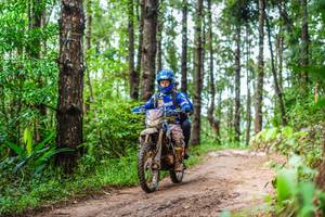 BIB: 
                            <button type="button" onclick="openModal(13474639)" class="btn btn-primary btn-sm float-right btn-popup" data-toggle="modal" data-target=".modal-high-quality">
                        <i class="fas fa-shopping-cart"></i> Add to Cart
                    </button>
                                            <button type="button" onclick="isThisMe(13474639, true)" class="btn btn-success btn-sm float-right btn-popup btn-isme hidden" data-toggle="tooltip" data-placement="bottom" title="นี่คือรูปของคุณใช่ไหม คลิกที่นี่เพื่อเอาเข้าอัลบั้ม">
                        <i class="fas fa-plus"></i> Add to album
                    </button>
                    <button type="button" onclick="isThisMe(13474639, false)" class="btn btn-warning btn-sm float-right btn-popup btn-isnotme hidden">
                        <i class="fas fa-ban"></i> Remove from album
                    </button>