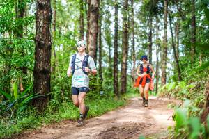 BIB: 
                            <button type="button" onclick="openModal(13474923)" class="btn btn-primary btn-sm float-right btn-popup" data-toggle="modal" data-target=".modal-high-quality">
                        <i class="fas fa-shopping-cart"></i> Add to Cart
                    </button>
                                            <button type="button" onclick="isThisMe(13474923, true)" class="btn btn-success btn-sm float-right btn-popup btn-isme hidden" data-toggle="tooltip" data-placement="bottom" title="นี่คือรูปของคุณใช่ไหม คลิกที่นี่เพื่อเอาเข้าอัลบั้ม">
                        <i class="fas fa-plus"></i> Add to album
                    </button>
                    <button type="button" onclick="isThisMe(13474923, false)" class="btn btn-warning btn-sm float-right btn-popup btn-isnotme hidden">
                        <i class="fas fa-ban"></i> Remove from album
                    </button>