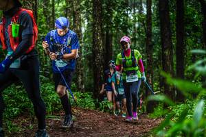 BIB: 
                            <button type="button" onclick="openModal(13478779)" class="btn btn-primary btn-sm float-right btn-popup" data-toggle="modal" data-target=".modal-high-quality">
                        <i class="fas fa-shopping-cart"></i> Add to Cart
                    </button>
                                            <button type="button" onclick="isThisMe(13478779, true)" class="btn btn-success btn-sm float-right btn-popup btn-isme hidden" data-toggle="tooltip" data-placement="bottom" title="นี่คือรูปของคุณใช่ไหม คลิกที่นี่เพื่อเอาเข้าอัลบั้ม">
                        <i class="fas fa-plus"></i> Add to album
                    </button>
                    <button type="button" onclick="isThisMe(13478779, false)" class="btn btn-warning btn-sm float-right btn-popup btn-isnotme hidden">
                        <i class="fas fa-ban"></i> Remove from album
                    </button>