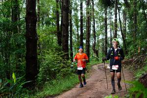 BIB: 
                            <button type="button" onclick="openModal(13452244)" class="btn btn-primary btn-sm float-right btn-popup" data-toggle="modal" data-target=".modal-high-quality">
                        <i class="fas fa-shopping-cart"></i> Add to Cart
                    </button>
                                            <button type="button" onclick="isThisMe(13452244, true)" class="btn btn-success btn-sm float-right btn-popup btn-isme hidden" data-toggle="tooltip" data-placement="bottom" title="นี่คือรูปของคุณใช่ไหม คลิกที่นี่เพื่อเอาเข้าอัลบั้ม">
                        <i class="fas fa-plus"></i> Add to album
                    </button>
                    <button type="button" onclick="isThisMe(13452244, false)" class="btn btn-warning btn-sm float-right btn-popup btn-isnotme hidden">
                        <i class="fas fa-ban"></i> Remove from album
                    </button>