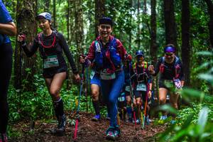 BIB: 
                            <button type="button" onclick="openModal(13479007)" class="btn btn-primary btn-sm float-right btn-popup" data-toggle="modal" data-target=".modal-high-quality">
                        <i class="fas fa-shopping-cart"></i> Add to Cart
                    </button>
                                            <button type="button" onclick="isThisMe(13479007, true)" class="btn btn-success btn-sm float-right btn-popup btn-isme hidden" data-toggle="tooltip" data-placement="bottom" title="นี่คือรูปของคุณใช่ไหม คลิกที่นี่เพื่อเอาเข้าอัลบั้ม">
                        <i class="fas fa-plus"></i> Add to album
                    </button>
                    <button type="button" onclick="isThisMe(13479007, false)" class="btn btn-warning btn-sm float-right btn-popup btn-isnotme hidden">
                        <i class="fas fa-ban"></i> Remove from album
                    </button>