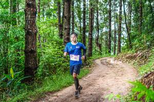 BIB: 
                            <button type="button" onclick="openModal(13487166)" class="btn btn-primary btn-sm float-right btn-popup" data-toggle="modal" data-target=".modal-high-quality">
                        <i class="fas fa-shopping-cart"></i> Add to Cart
                    </button>
                                            <button type="button" onclick="isThisMe(13487166, true)" class="btn btn-success btn-sm float-right btn-popup btn-isme hidden" data-toggle="tooltip" data-placement="bottom" title="นี่คือรูปของคุณใช่ไหม คลิกที่นี่เพื่อเอาเข้าอัลบั้ม">
                        <i class="fas fa-plus"></i> Add to album
                    </button>
                    <button type="button" onclick="isThisMe(13487166, false)" class="btn btn-warning btn-sm float-right btn-popup btn-isnotme hidden">
                        <i class="fas fa-ban"></i> Remove from album
                    </button>