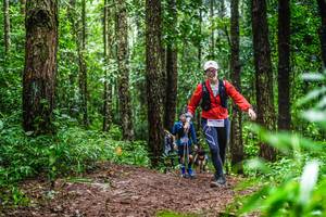 BIB: 
                            <button type="button" onclick="openModal(13479564)" class="btn btn-primary btn-sm float-right btn-popup" data-toggle="modal" data-target=".modal-high-quality">
                        <i class="fas fa-shopping-cart"></i> Add to Cart
                    </button>
                                            <button type="button" onclick="isThisMe(13479564, true)" class="btn btn-success btn-sm float-right btn-popup btn-isme hidden" data-toggle="tooltip" data-placement="bottom" title="นี่คือรูปของคุณใช่ไหม คลิกที่นี่เพื่อเอาเข้าอัลบั้ม">
                        <i class="fas fa-plus"></i> Add to album
                    </button>
                    <button type="button" onclick="isThisMe(13479564, false)" class="btn btn-warning btn-sm float-right btn-popup btn-isnotme hidden">
                        <i class="fas fa-ban"></i> Remove from album
                    </button>