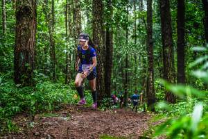 BIB: 
                            <button type="button" onclick="openModal(13479519)" class="btn btn-primary btn-sm float-right btn-popup" data-toggle="modal" data-target=".modal-high-quality">
                        <i class="fas fa-shopping-cart"></i> Add to Cart
                    </button>
                                            <button type="button" onclick="isThisMe(13479519, true)" class="btn btn-success btn-sm float-right btn-popup btn-isme hidden" data-toggle="tooltip" data-placement="bottom" title="นี่คือรูปของคุณใช่ไหม คลิกที่นี่เพื่อเอาเข้าอัลบั้ม">
                        <i class="fas fa-plus"></i> Add to album
                    </button>
                    <button type="button" onclick="isThisMe(13479519, false)" class="btn btn-warning btn-sm float-right btn-popup btn-isnotme hidden">
                        <i class="fas fa-ban"></i> Remove from album
                    </button>