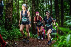 BIB: 267
                            <button type="button" onclick="openModal(13478763)" class="btn btn-primary btn-sm float-right btn-popup" data-toggle="modal" data-target=".modal-high-quality">
                        <i class="fas fa-shopping-cart"></i> Add to Cart
                    </button>
                                            <button type="button" onclick="isThisMe(13478763, true)" class="btn btn-success btn-sm float-right btn-popup btn-isme hidden" data-toggle="tooltip" data-placement="bottom" title="นี่คือรูปของคุณใช่ไหม คลิกที่นี่เพื่อเอาเข้าอัลบั้ม">
                        <i class="fas fa-plus"></i> Add to album
                    </button>
                    <button type="button" onclick="isThisMe(13478763, false)" class="btn btn-warning btn-sm float-right btn-popup btn-isnotme hidden">
                        <i class="fas fa-ban"></i> Remove from album
                    </button>