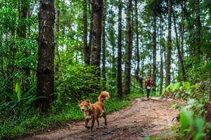 BIB: 
                            <button type="button" onclick="openModal(13474348)" class="btn btn-primary btn-sm float-right btn-popup" data-toggle="modal" data-target=".modal-high-quality">
                        <i class="fas fa-shopping-cart"></i> Add to Cart
                    </button>
                                            <button type="button" onclick="isThisMe(13474348, true)" class="btn btn-success btn-sm float-right btn-popup btn-isme hidden" data-toggle="tooltip" data-placement="bottom" title="นี่คือรูปของคุณใช่ไหม คลิกที่นี่เพื่อเอาเข้าอัลบั้ม">
                        <i class="fas fa-plus"></i> Add to album
                    </button>
                    <button type="button" onclick="isThisMe(13474348, false)" class="btn btn-warning btn-sm float-right btn-popup btn-isnotme hidden">
                        <i class="fas fa-ban"></i> Remove from album
                    </button>