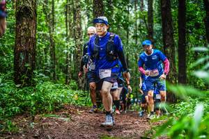 BIB: 380
                            <button type="button" onclick="openModal(13479690)" class="btn btn-primary btn-sm float-right btn-popup" data-toggle="modal" data-target=".modal-high-quality">
                        <i class="fas fa-shopping-cart"></i> Add to Cart
                    </button>
                                            <button type="button" onclick="isThisMe(13479690, true)" class="btn btn-success btn-sm float-right btn-popup btn-isme hidden" data-toggle="tooltip" data-placement="bottom" title="นี่คือรูปของคุณใช่ไหม คลิกที่นี่เพื่อเอาเข้าอัลบั้ม">
                        <i class="fas fa-plus"></i> Add to album
                    </button>
                    <button type="button" onclick="isThisMe(13479690, false)" class="btn btn-warning btn-sm float-right btn-popup btn-isnotme hidden">
                        <i class="fas fa-ban"></i> Remove from album
                    </button>