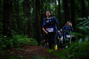 BIB: 8002
                            <button type="button" onclick="openModal(13452112)" class="btn btn-primary btn-sm float-right btn-popup" data-toggle="modal" data-target=".modal-high-quality">
                        <i class="fas fa-shopping-cart"></i> Add to Cart
                    </button>
                                            <button type="button" onclick="isThisMe(13452112, true)" class="btn btn-success btn-sm float-right btn-popup btn-isme hidden" data-toggle="tooltip" data-placement="bottom" title="นี่คือรูปของคุณใช่ไหม คลิกที่นี่เพื่อเอาเข้าอัลบั้ม">
                        <i class="fas fa-plus"></i> Add to album
                    </button>
                    <button type="button" onclick="isThisMe(13452112, false)" class="btn btn-warning btn-sm float-right btn-popup btn-isnotme hidden">
                        <i class="fas fa-ban"></i> Remove from album
                    </button>