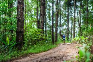 BIB: 
                            <button type="button" onclick="openModal(13474341)" class="btn btn-primary btn-sm float-right btn-popup" data-toggle="modal" data-target=".modal-high-quality">
                        <i class="fas fa-shopping-cart"></i> Add to Cart
                    </button>
                                            <button type="button" onclick="isThisMe(13474341, true)" class="btn btn-success btn-sm float-right btn-popup btn-isme hidden" data-toggle="tooltip" data-placement="bottom" title="นี่คือรูปของคุณใช่ไหม คลิกที่นี่เพื่อเอาเข้าอัลบั้ม">
                        <i class="fas fa-plus"></i> Add to album
                    </button>
                    <button type="button" onclick="isThisMe(13474341, false)" class="btn btn-warning btn-sm float-right btn-popup btn-isnotme hidden">
                        <i class="fas fa-ban"></i> Remove from album
                    </button>