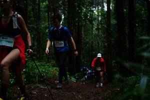 BIB: 1641, 1399
                            <button type="button" onclick="openModal(13401299)" class="btn btn-primary btn-sm float-right btn-popup" data-toggle="modal" data-target=".modal-high-quality">
                        <i class="fas fa-shopping-cart"></i> Add to Cart
                    </button>
                                            <button type="button" onclick="isThisMe(13401299, true)" class="btn btn-success btn-sm float-right btn-popup btn-isme hidden" data-toggle="tooltip" data-placement="bottom" title="นี่คือรูปของคุณใช่ไหม คลิกที่นี่เพื่อเอาเข้าอัลบั้ม">
                        <i class="fas fa-plus"></i> Add to album
                    </button>
                    <button type="button" onclick="isThisMe(13401299, false)" class="btn btn-warning btn-sm float-right btn-popup btn-isnotme hidden">
                        <i class="fas fa-ban"></i> Remove from album
                    </button>