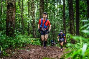 BIB: 
                            <button type="button" onclick="openModal(13479513)" class="btn btn-primary btn-sm float-right btn-popup" data-toggle="modal" data-target=".modal-high-quality">
                        <i class="fas fa-shopping-cart"></i> Add to Cart
                    </button>
                                            <button type="button" onclick="isThisMe(13479513, true)" class="btn btn-success btn-sm float-right btn-popup btn-isme hidden" data-toggle="tooltip" data-placement="bottom" title="นี่คือรูปของคุณใช่ไหม คลิกที่นี่เพื่อเอาเข้าอัลบั้ม">
                        <i class="fas fa-plus"></i> Add to album
                    </button>
                    <button type="button" onclick="isThisMe(13479513, false)" class="btn btn-warning btn-sm float-right btn-popup btn-isnotme hidden">
                        <i class="fas fa-ban"></i> Remove from album
                    </button>