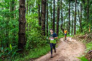 BIB: 
                            <button type="button" onclick="openModal(13487186)" class="btn btn-primary btn-sm float-right btn-popup" data-toggle="modal" data-target=".modal-high-quality">
                        <i class="fas fa-shopping-cart"></i> Add to Cart
                    </button>
                                            <button type="button" onclick="isThisMe(13487186, true)" class="btn btn-success btn-sm float-right btn-popup btn-isme hidden" data-toggle="tooltip" data-placement="bottom" title="นี่คือรูปของคุณใช่ไหม คลิกที่นี่เพื่อเอาเข้าอัลบั้ม">
                        <i class="fas fa-plus"></i> Add to album
                    </button>
                    <button type="button" onclick="isThisMe(13487186, false)" class="btn btn-warning btn-sm float-right btn-popup btn-isnotme hidden">
                        <i class="fas fa-ban"></i> Remove from album
                    </button>