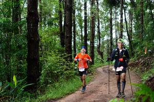 BIB: 
                            <button type="button" onclick="openModal(13452241)" class="btn btn-primary btn-sm float-right btn-popup" data-toggle="modal" data-target=".modal-high-quality">
                        <i class="fas fa-shopping-cart"></i> Add to Cart
                    </button>
                                            <button type="button" onclick="isThisMe(13452241, true)" class="btn btn-success btn-sm float-right btn-popup btn-isme hidden" data-toggle="tooltip" data-placement="bottom" title="นี่คือรูปของคุณใช่ไหม คลิกที่นี่เพื่อเอาเข้าอัลบั้ม">
                        <i class="fas fa-plus"></i> Add to album
                    </button>
                    <button type="button" onclick="isThisMe(13452241, false)" class="btn btn-warning btn-sm float-right btn-popup btn-isnotme hidden">
                        <i class="fas fa-ban"></i> Remove from album
                    </button>